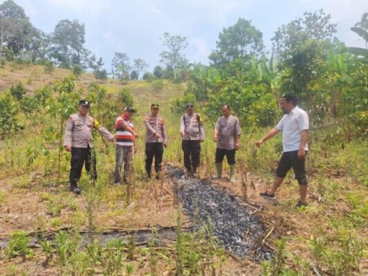 Polsek Pugung Cek Dua Lokasi Hotspot, Api Telah Padam